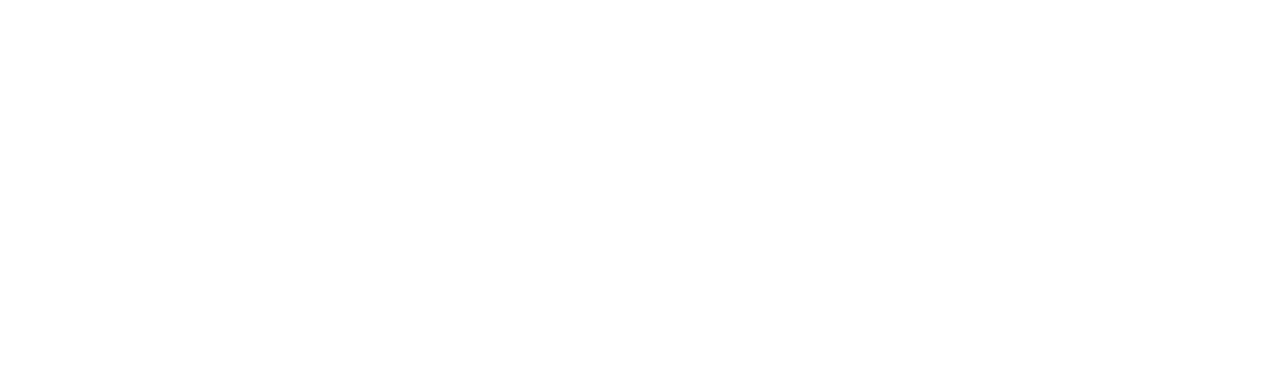 AM Fleet Insurance